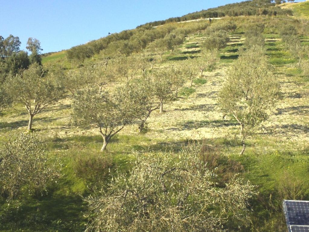 Agriturismo Due Ganee Villa Agrigento Exterior foto